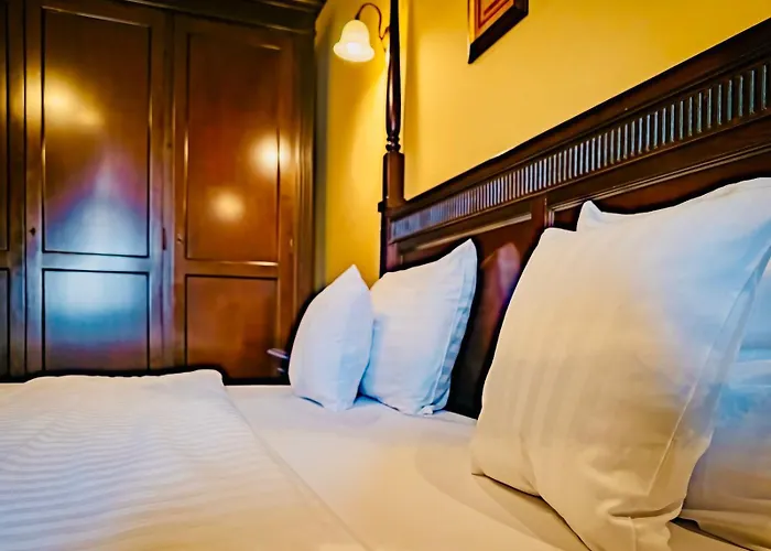 Joy Modern Elegance & Panorama *