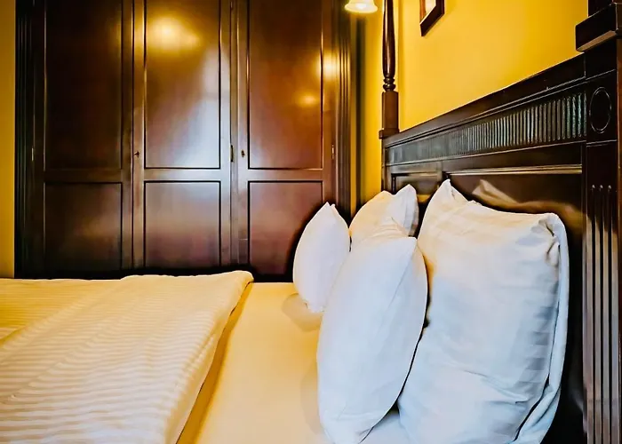 Joy Modern Elegance & Panorama